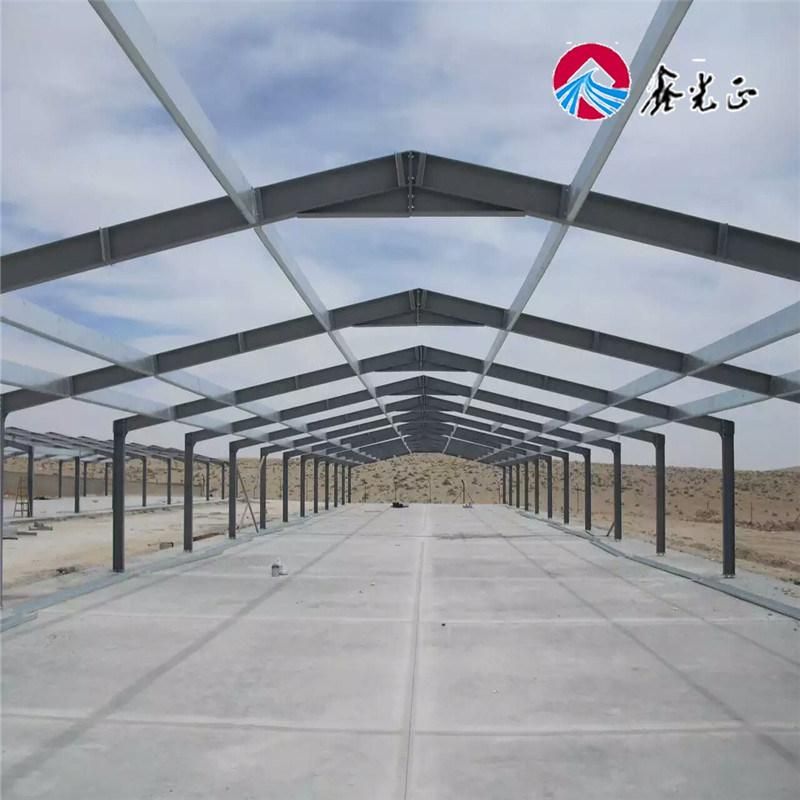 Best Design /Automatic Layer Poultry House Low Cost