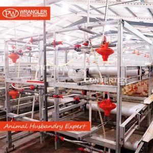 H Type Best Price Poultry Farm Egg Layer Broiler Chicken Cage