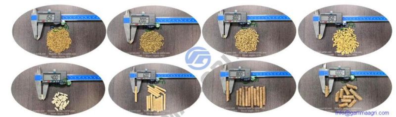 Hot Sale 1-2tph Small Animal Feed Pellet Machine Production Line