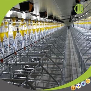 High Quality Gestation Stall Animal Cage Wholesale for Sale