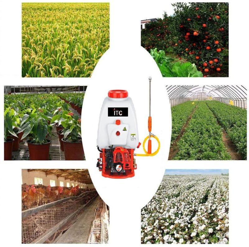 Super Powerful-Angricultural Gasoline/Petrol Farm/Garden Sprayer/Spraying Machine-Power Tools