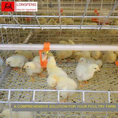 Stable Running Egg Broiler Chicken Cage with Top Wire Mesh