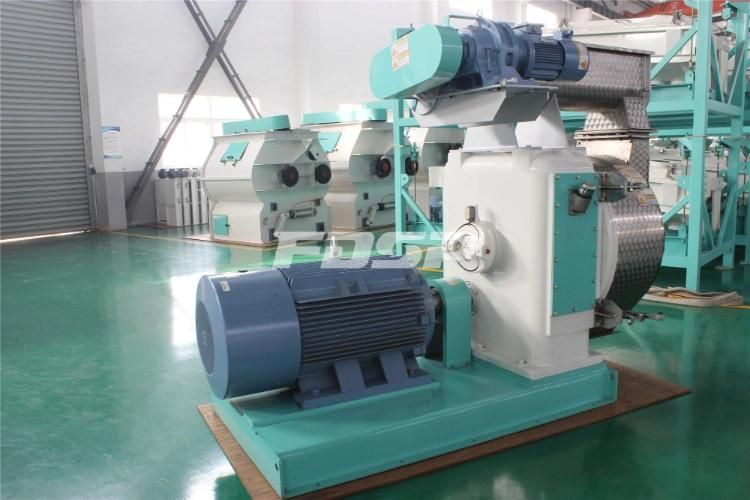 CE ISO Ring Die High Capacity Compound Organic Fertilizer Granulation Machine