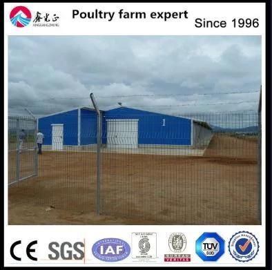 Industrial Shed Design Steel Structure Farm Prefabricated Building in Factory
