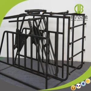 Hot Sale Free Access Gestation Stall / Individual Stall with High Quality