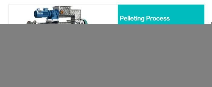High Output Poultry Feed Production Machine