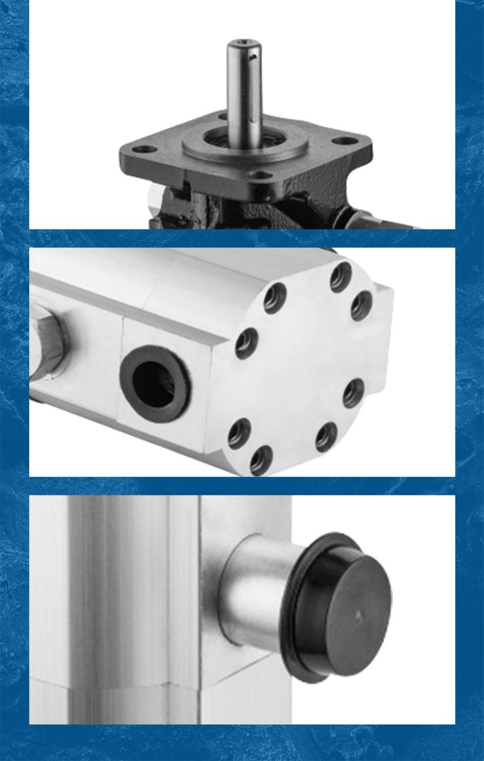Various Specifications High Quality Hydraulic Pump Gear Pump Log Splitter Pump Cbna-8.8/3.6