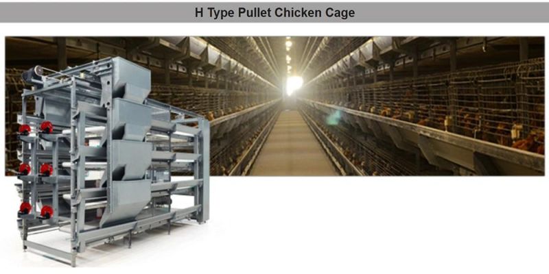 Commercial Chicken Battery Cage for Layer Poultry Farms with Automatic Drinking Line