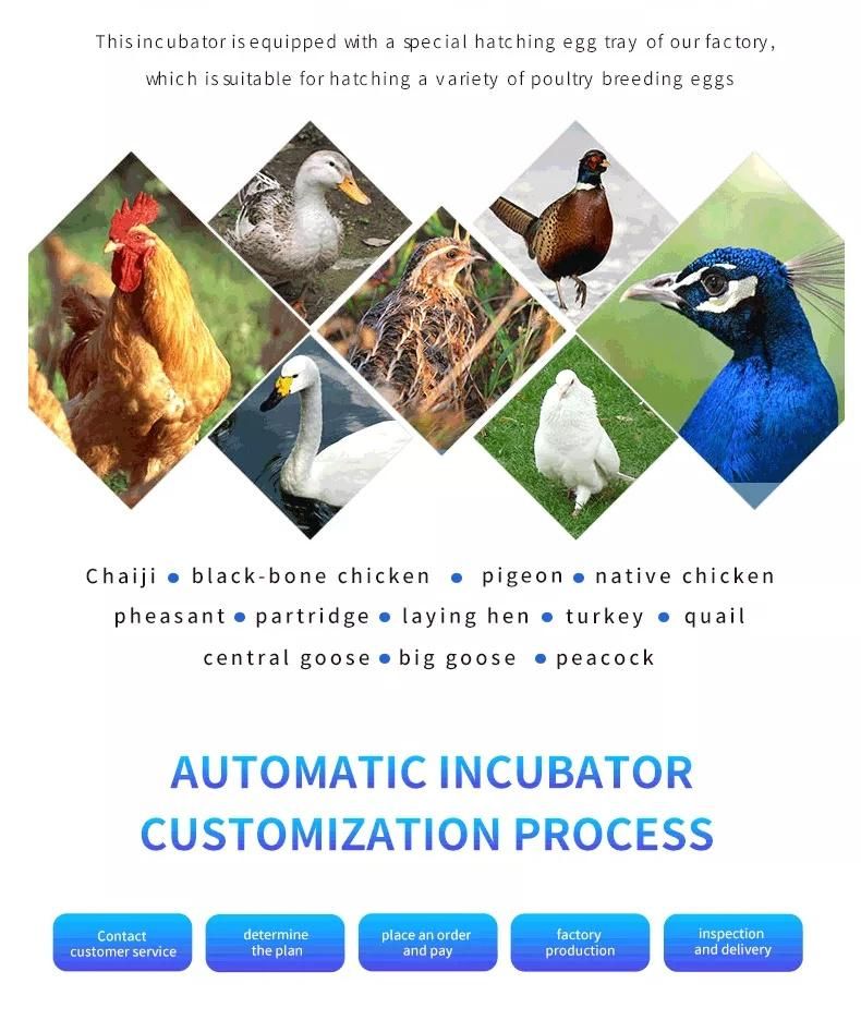 Manufacturer Direct Supply Egg Incubator and Chicken and Poultry Egg Hatching Machine