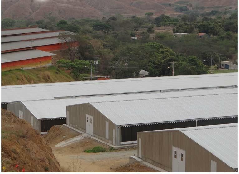 Steel Structure Chicken Use Poultry House/Chickend Farm/ Broiler Chicken House