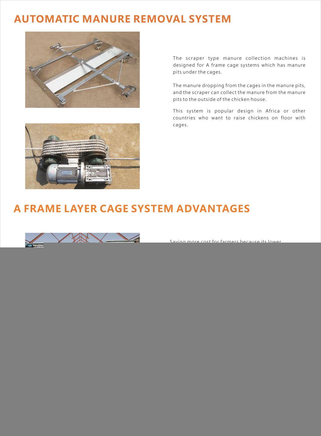 Automatic Type a Hot Galvanized Chicken Cage Equipment