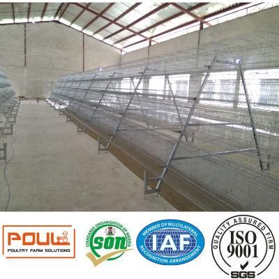 Layer Chicken Poultry Farm Cage