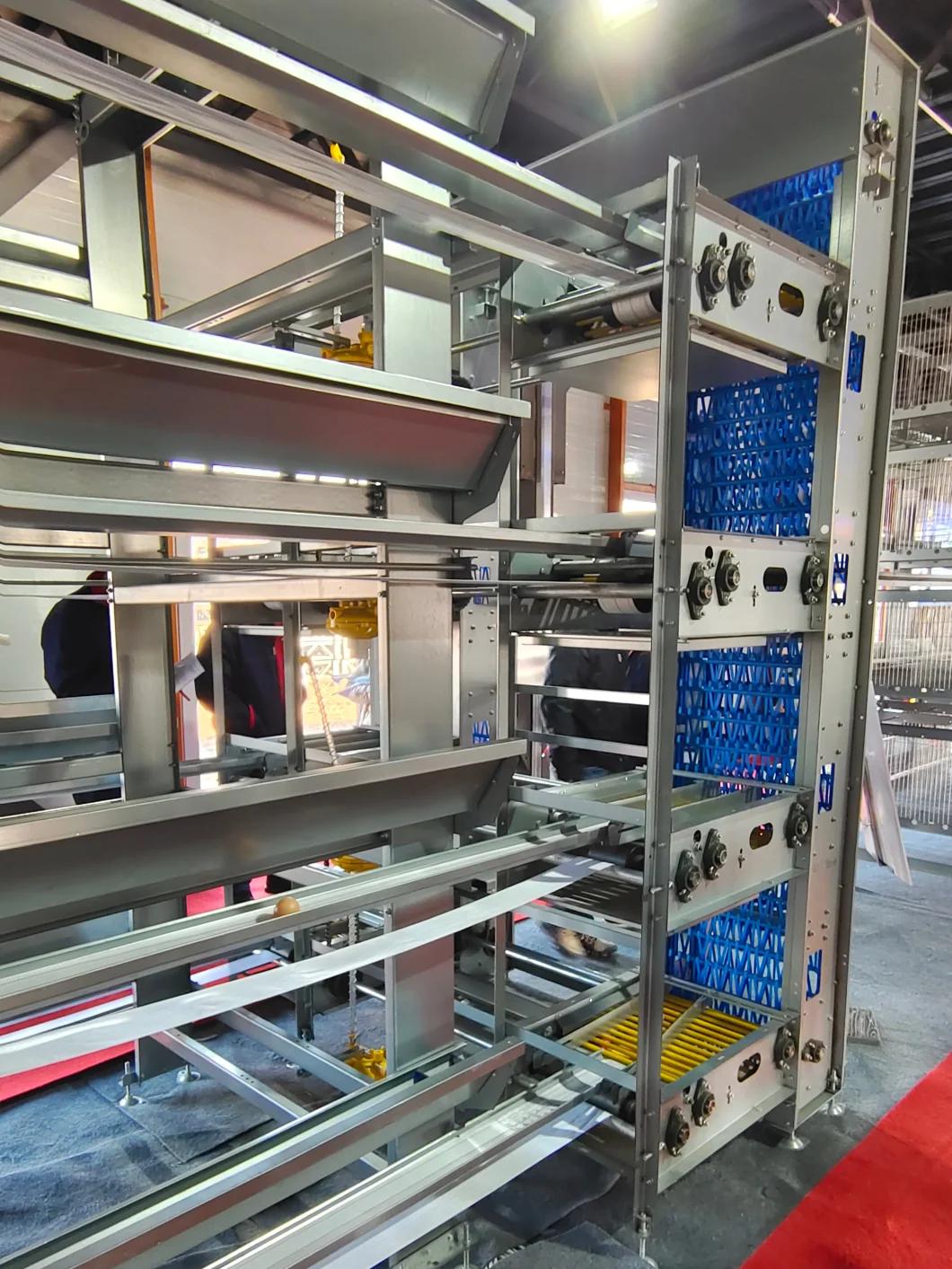 Automation Complete Poultry Farm Equipment Feeding System for Chicken Cages