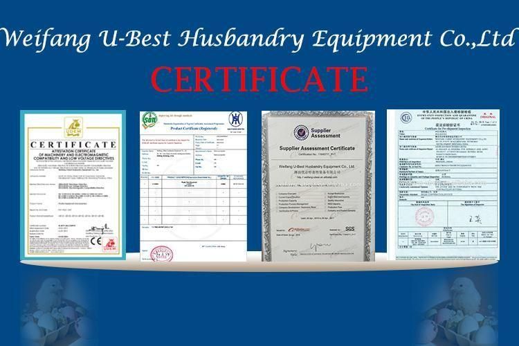Chicken/Broiler/Breeder/Poultry Farm/Farming Drinker Water Line/System Cleaning Machine/Equipment
