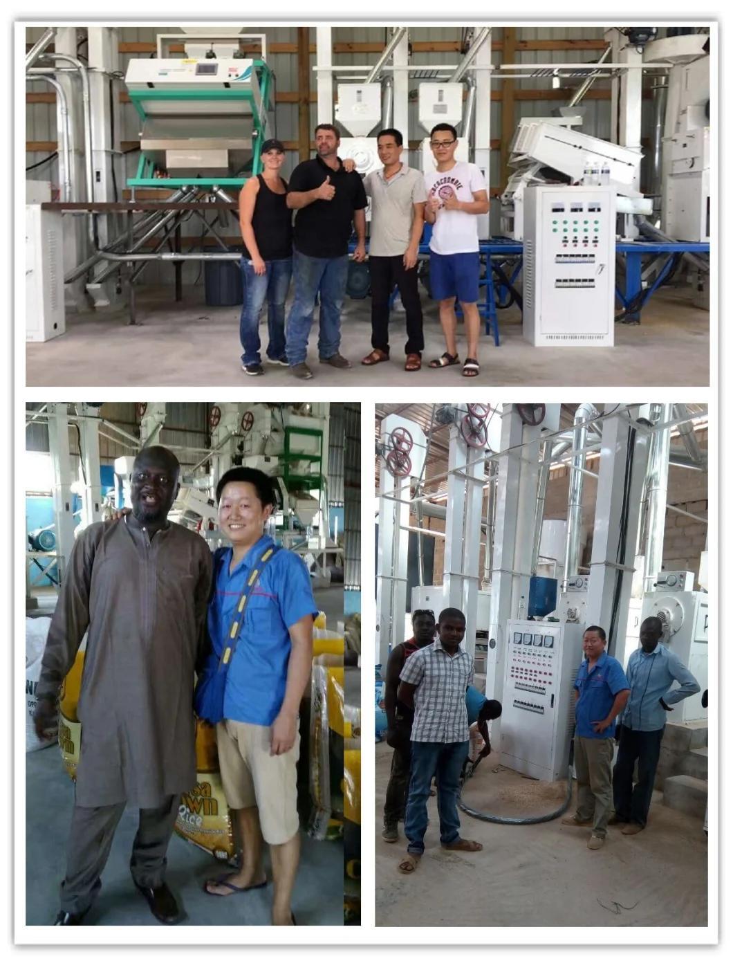 Lyzx32 Series Automatic Cold Oil Expeller Plant