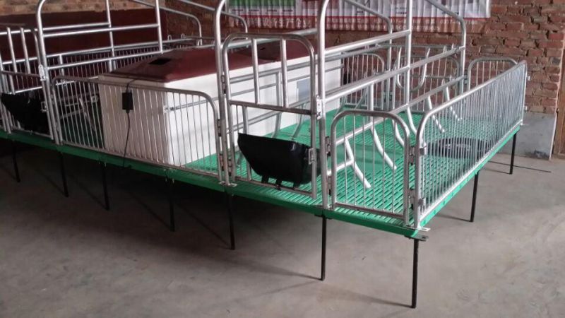 Galvanized Gestation Crate Pig Equipment Farrowing Bed