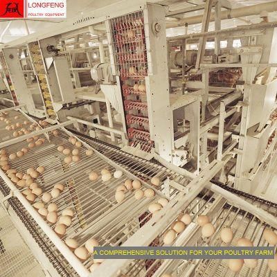 New Dairy Machine Computerized Poultry Drinkers Mature Design Egg Factory Equipment