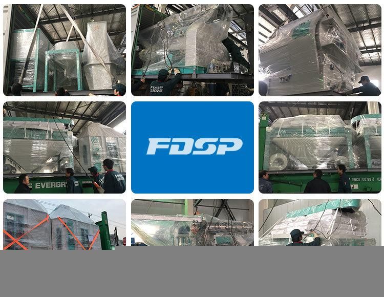 China Supplier Reliable Chicken Feed Pellet Making Machine Plant