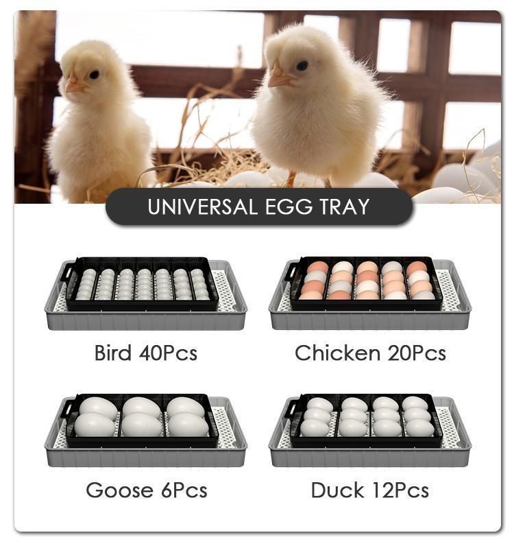 Hhd Birds Incubator Chicken Incubator and Hatching Machine Egg Incubator