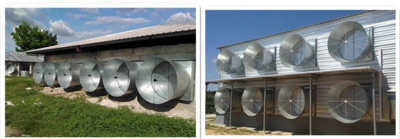 Exhaust Fan for Poultry Farm Equipment