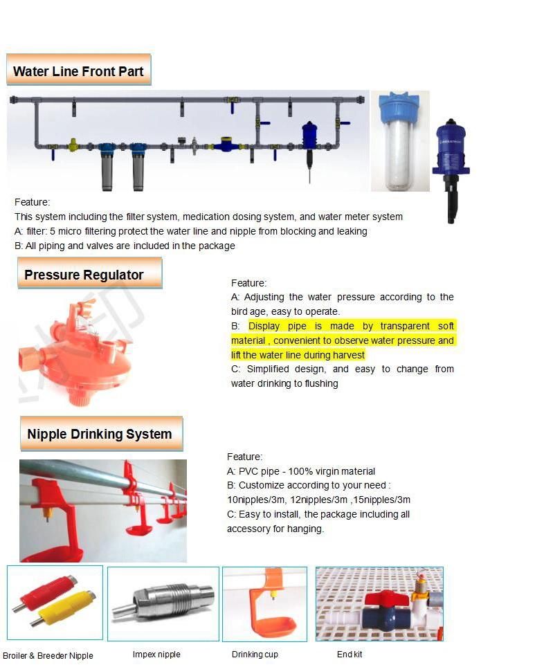 New Poultry Farm Automatic Baby Chicken Flat Raising Equipment