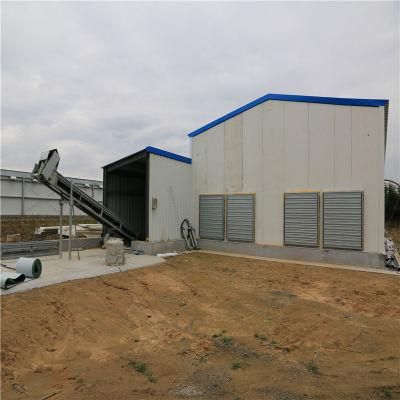 Low Price Self-Manufactured Prefab Steel Structure Hen Shed with Equipment