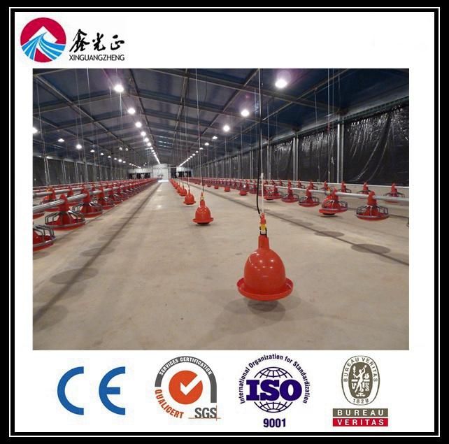 Automatic Chicken Equipment for Layer & H Type Galvanized
