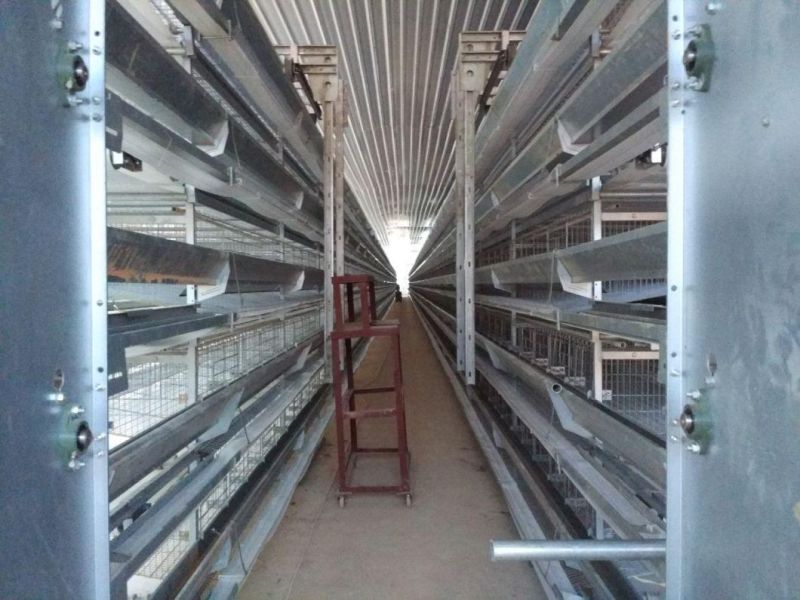 Turkmenistan Prefab Steel Structure Poultry House