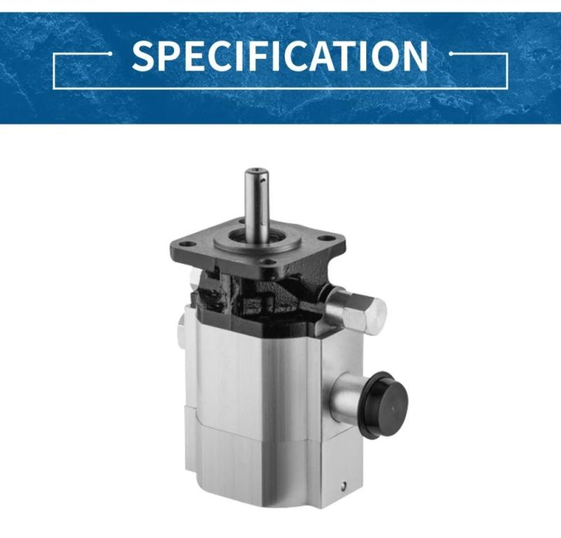 Various Specifications High Quality Hydraulic Pump Gear Pump Cbna-8.8/2.1