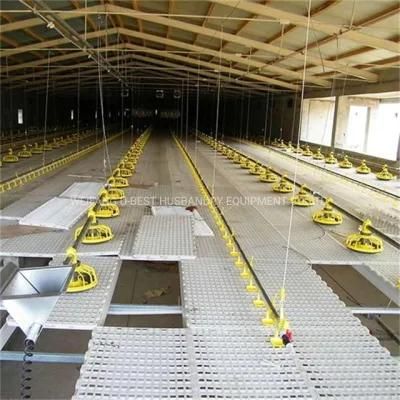 Fully Automatic Feeding Line System Pan Feeder Nipple Drinker Poultry Farming Equipment for Broiler Chicken