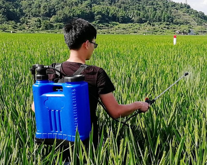 16L Portable Agricultural Manual Sprayer Backpack Hand Pressure Disinfector Sprayer