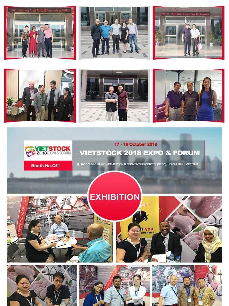 Professional Manufacturer of Automatical Poultry Chicken Abattoir Equipment