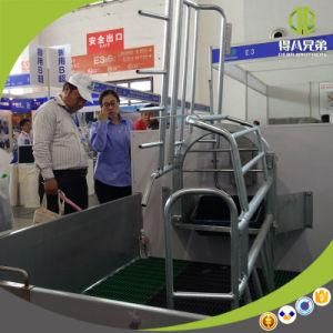 High Quality Reversible Farrowing Crate Need Agent