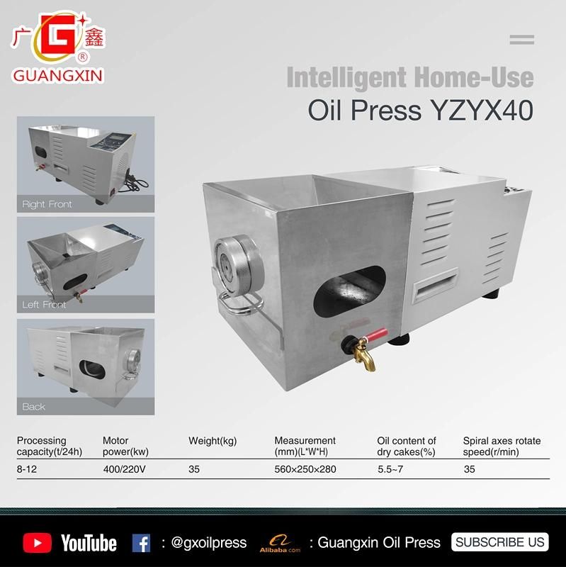 Yzyx40 Mini Moringa Oil Mill Making Plant Machine Oil Extractor