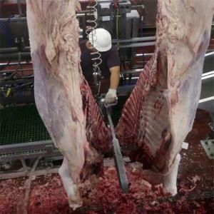 ISO 9001 Cattle Carcass Conveyor Slaughtering Machine Agricultural Machinery