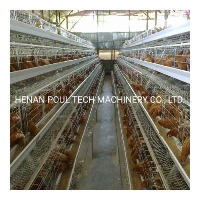 Chicken Layer Battery Cage for Layer Chicken Popular in Africa Market