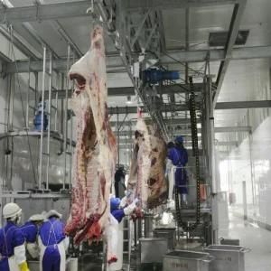 12 Meters Length Stainless Steel Frame Meat Cutting Conveyor Belt for Slaughter House