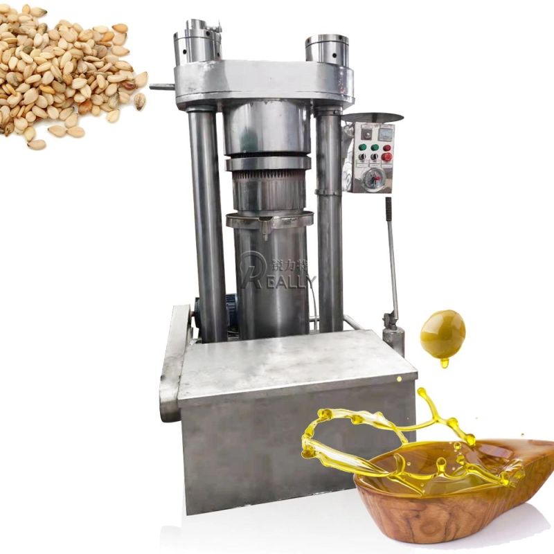 Hydraulic Cold Oil Press Machine Nuts Oil Pressing Industrial Oil Extractor Sunflower Seeds Coconut Oil Expeller Extraction