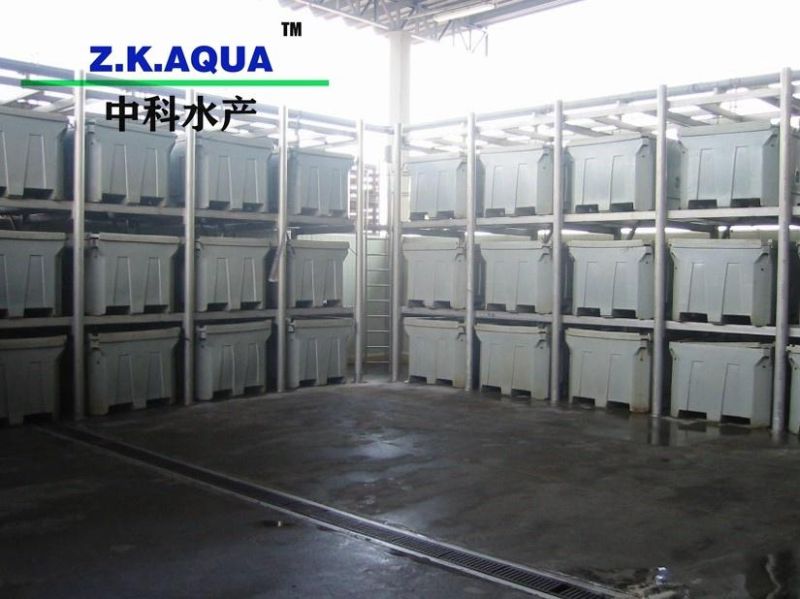High Performance Live Fish Transportation Tanks Live Fish Container
