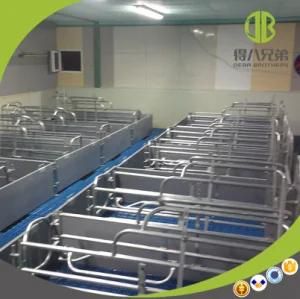 Customer Design Hot DIP Galvanized Farrowing Crate