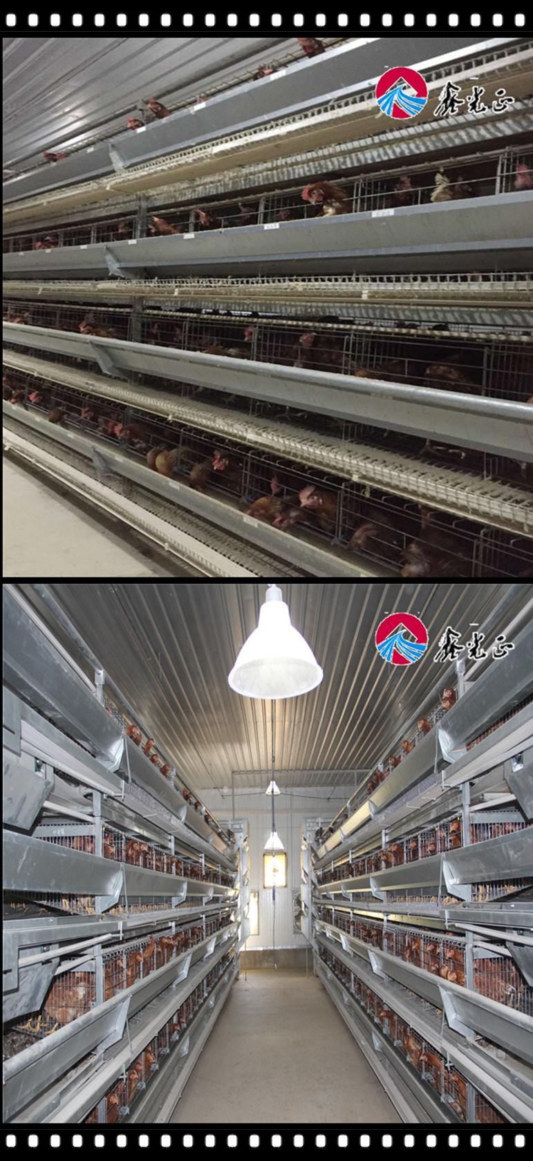 Poultry Farming Equipment/Chicken Layer Cage /Hot-Dipped Galvanized Chicken Cage