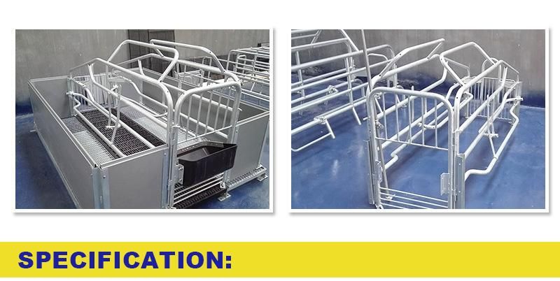 Crate Wholesale Pig Farming Equipment Sow Farrow Crate Sow Position Bar