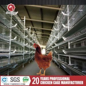 a Type 3 or 4 Tiers Battery Cage Used for Nigeria/ Lagos (A-4L120)