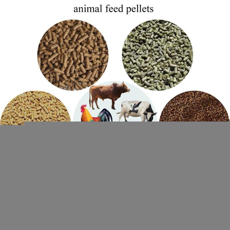 2-5ton/H Poultry Animal Feed Pellet Machine