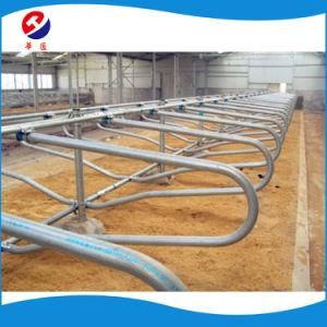 Galvanized Cow Cattle Free Stall Made in China