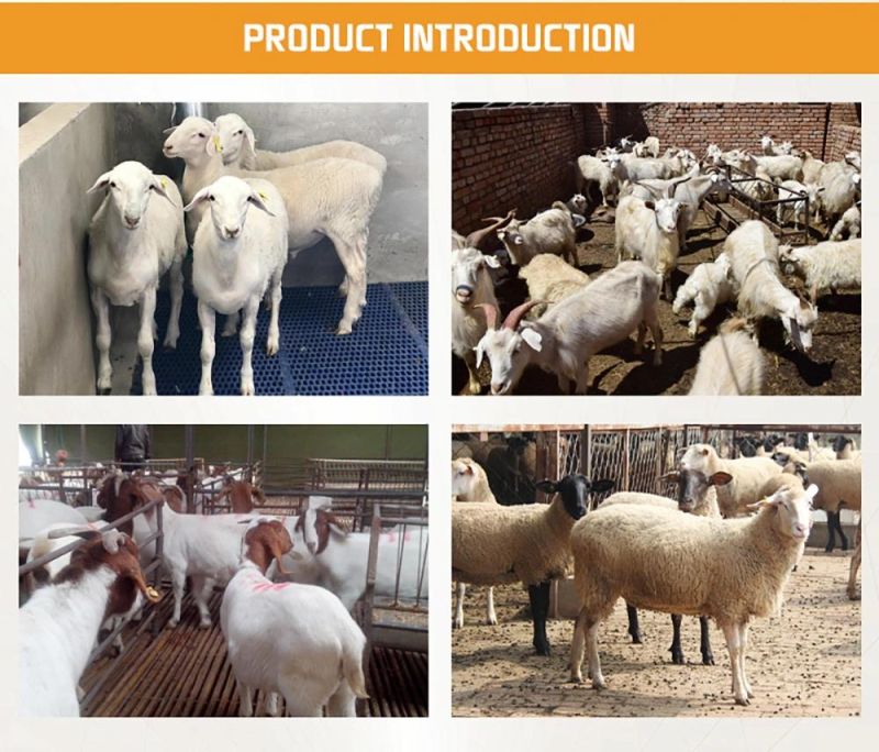 Factory Direct Galvanized Corral Board, Sheep Fence, Livestock Equipment, Cattle, Horse and Sheep Fence