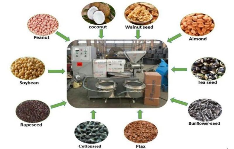 Industrial Use Palm Kernel Oil Press Machine Line for Indonesia