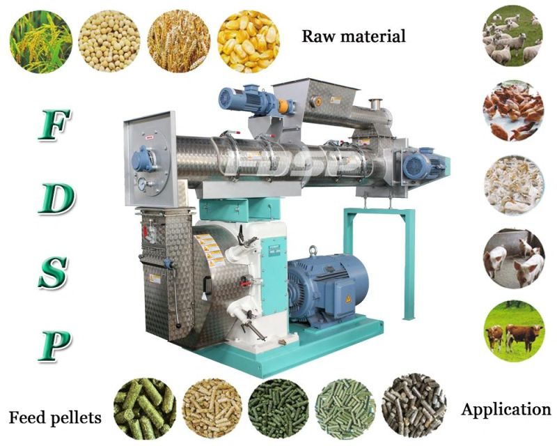 Poultry Feed Pellet Press Equipment