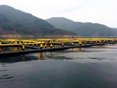 Hot Sale HDPE Square Fish Farming Floating Cage