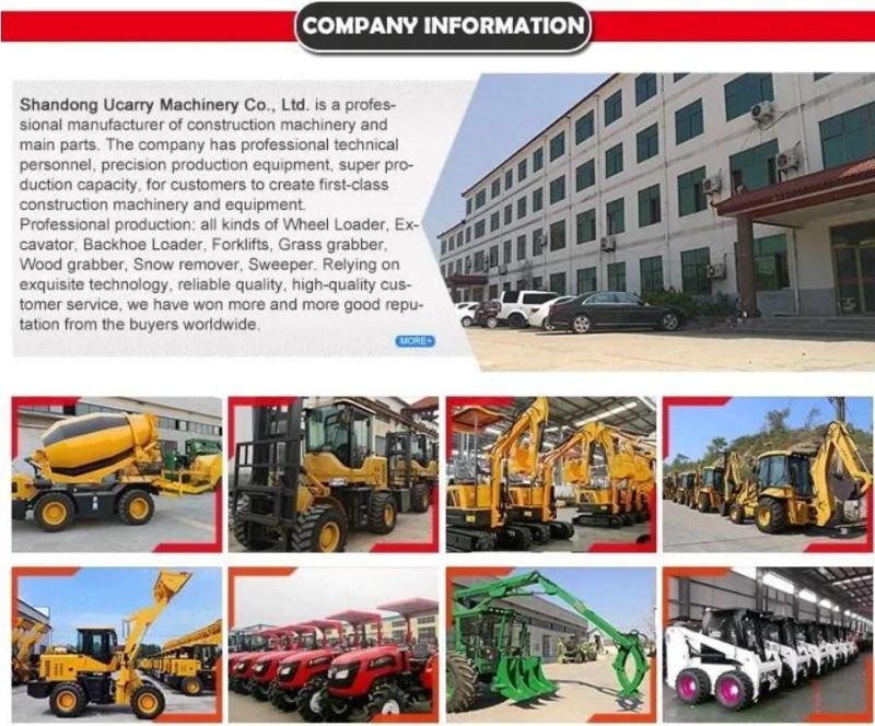 50-300L Self-Propelled Boom Electric /Gasoline/Gas Driven Vineyard Sprayer Garden Sprayer
